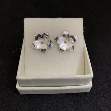 Malcolm Appleby Flouries Earrings with 18ct Gold Dot | Taylors on the High Street